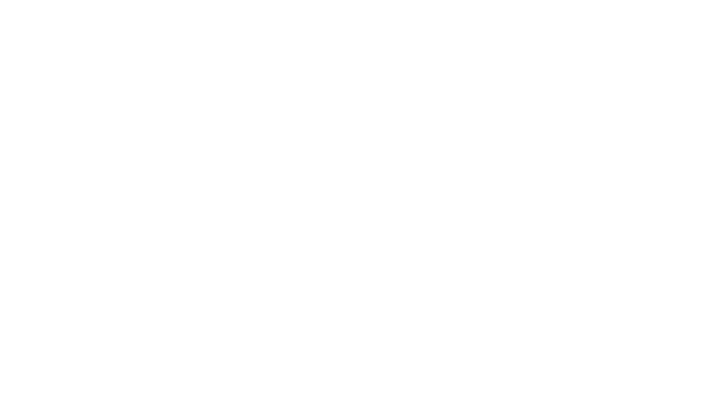 Montire Producent folii holograficznych